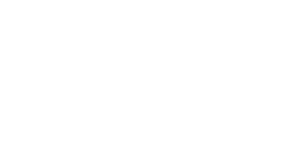 logo1 Logo1